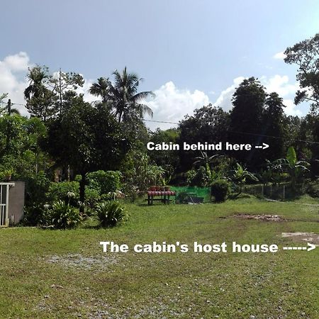 The Forest Cabin Bed & Breakfast ไทปิง ภายนอก รูปภาพ